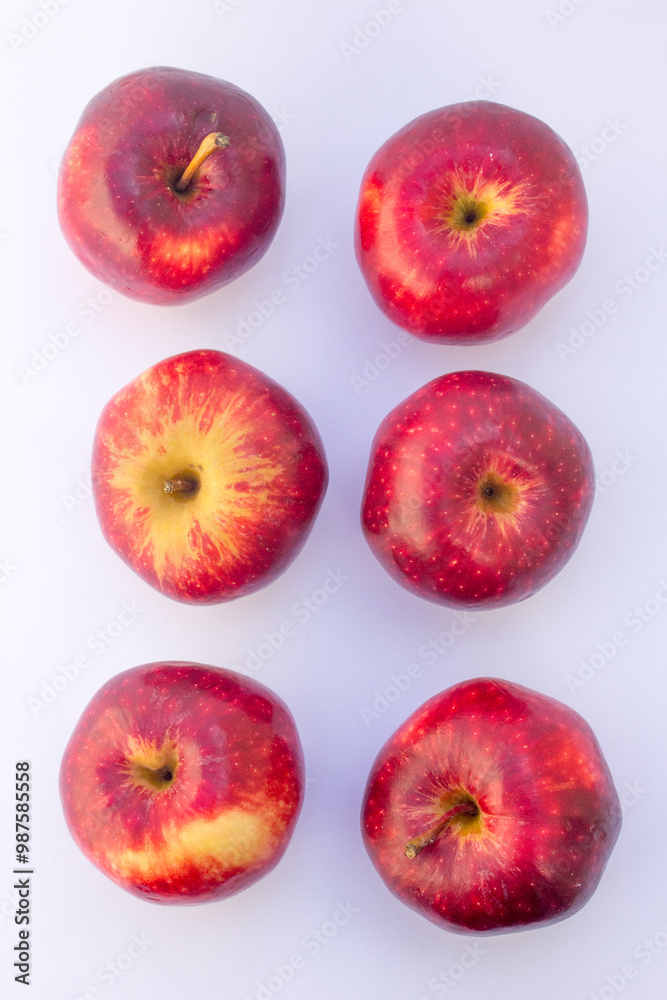 These apples' skin is smooth, glossy, and semi-thin, showcasing a golden yellow-orange base, covered in a bright to dark red, crimson blush with prominent yellow lenticels. These apples' skin is smooth, glossy, and semi-thin, showcasing a golden yellow-orange base, covered in a bright to dark red, crimson blush with prominent yellow lenticels.