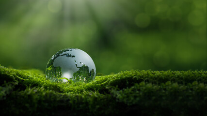 Crystal ball on moss in green forest - environmental concept, ecology and sustainable environment of the world. Eco-friendly green business on nature background.