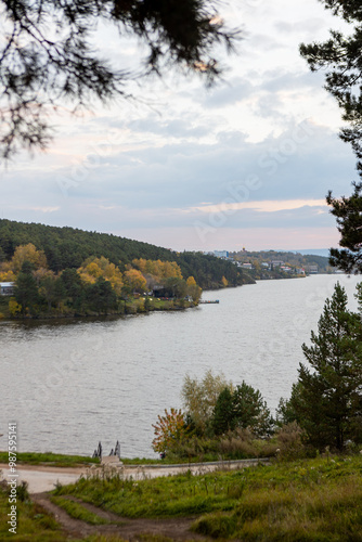 A city in the forest photo