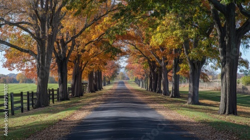 A tree-lined avenue with autumn foliage creating a vibrant tunnel of colors, capturing the beauty of seasonal changes along a peaceful road. photo