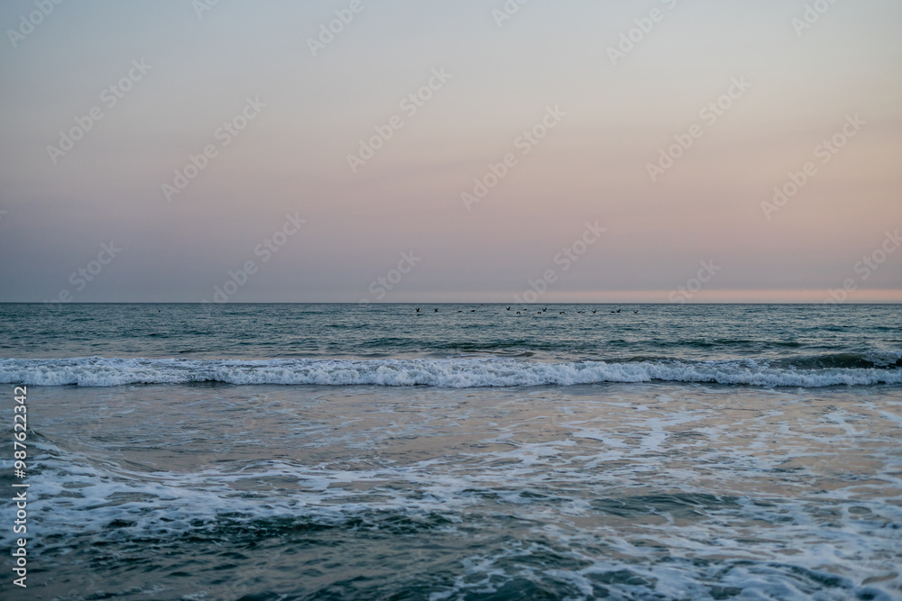 Birds Out in Distance Beautiful Ocean View Hazy Sunset Birds Out in Distance Beautiful Ocean View Hazy Sunset