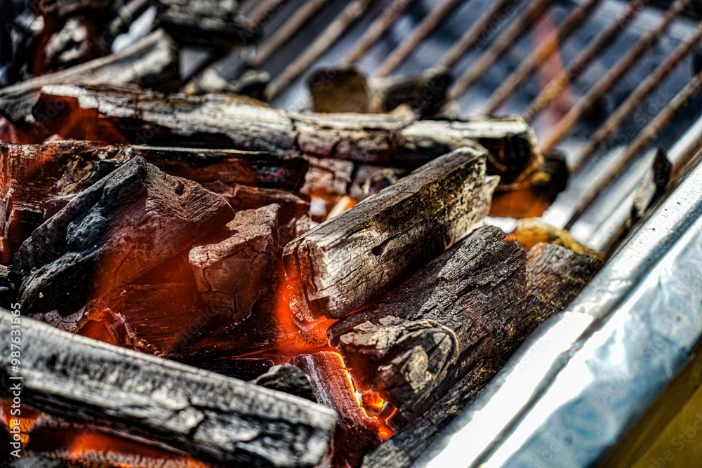 Obraz premium 焚火の炎のイメージ