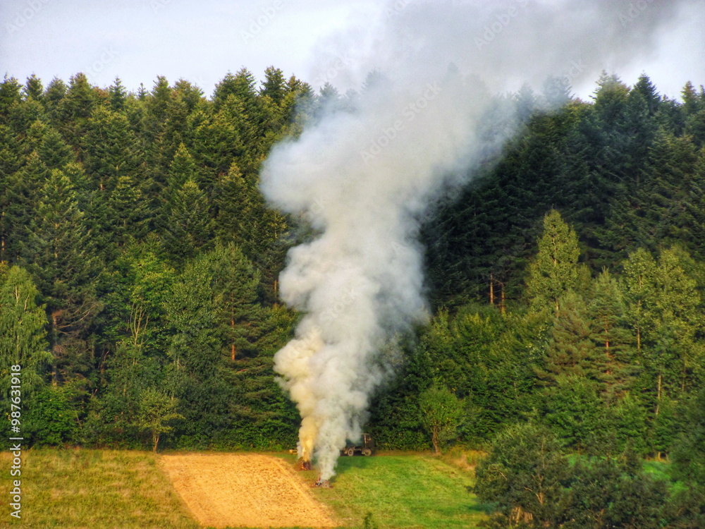 Burning crop residue in a field, causing air pollution near a forest