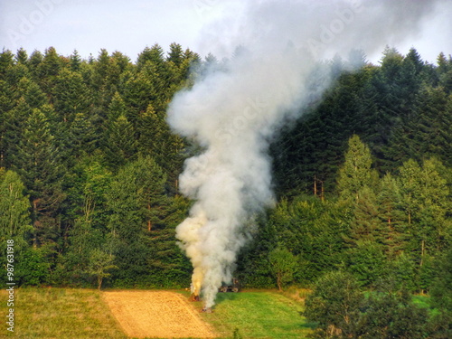 Canvas Print Burning crop residue in a field, causing air pollution near a forest