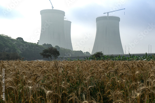 Obraz na płótnie Rye field near the Cooling towers of the Ruppur Nuclear Power Plant. Rooppur, Bangladesh w salonie