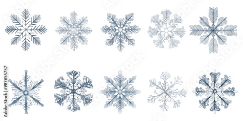 Detailed Snowflakes Collection in Ice Blue Design. A set of intricately designed snowflakes, each with unique patterns, perfect for winter-themed projects,