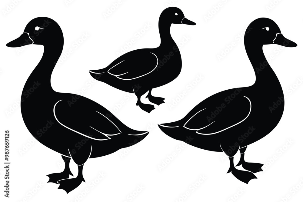 set-of-4-vector-black-silhouettes-of-duck---in-dif (1).eps set-of-4-vector-black-silhouettes-of-duck---in-dif (1).eps