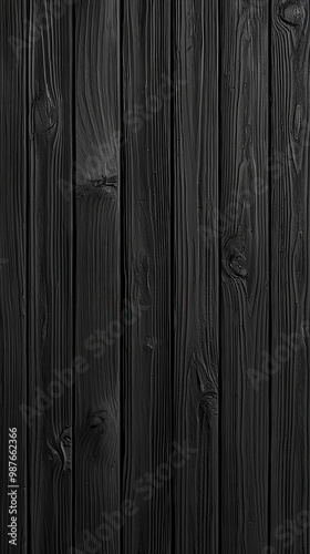 This image showcases a dramatic and elegant black wooden textured background comprised of vertically aligned planks, highlighting the natural grain and imperfections of the wood.