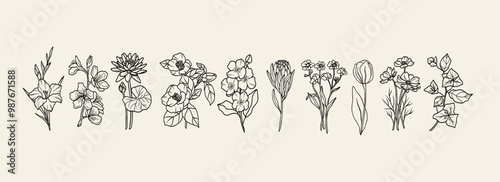 Hand drawn garden flowers collection