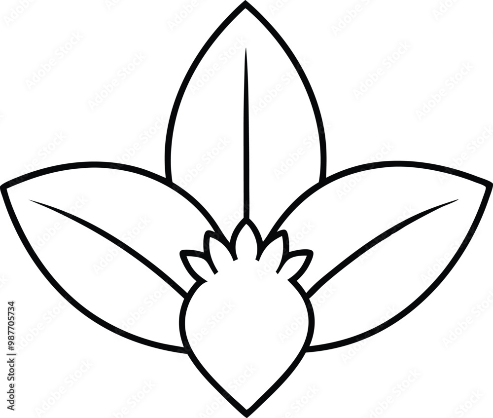 Daffodil Leaf Thin Line Vector Illustration for Creative Coloring Projects
Daffodil Leaf Thin Line Vector Illustration for Creative Coloring Projects
