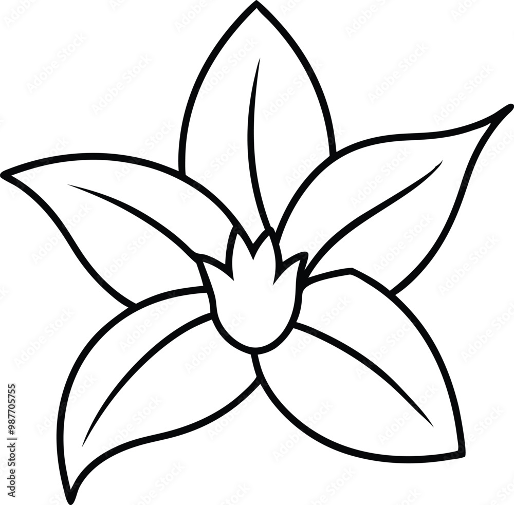 Elegant Daffodil Leaf Thin Line Vector Art 