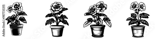 A series of vintage-style drawings of blooming flowers in pots, showcasing different designs and plants, emphasizing gardening and botanical themes.