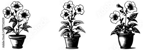 Three illustrated pots of flowers in a simple, elegant style, showcasing floral designs with detailed leaves and blossoms.