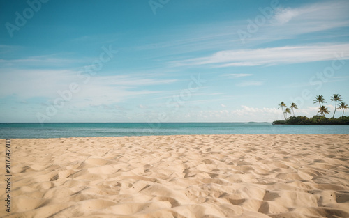 Sandy beach at a tropical paradise with calm turquoise waters