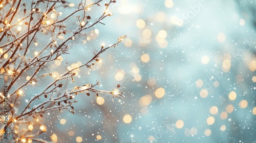 Christmas Tree Branches with Bokeh Lights Outdoors