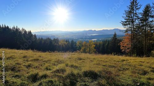 Explore a serene forest path illuminated by sunlight, featuring tall trees, sunlight shining in to foggy fall forest.