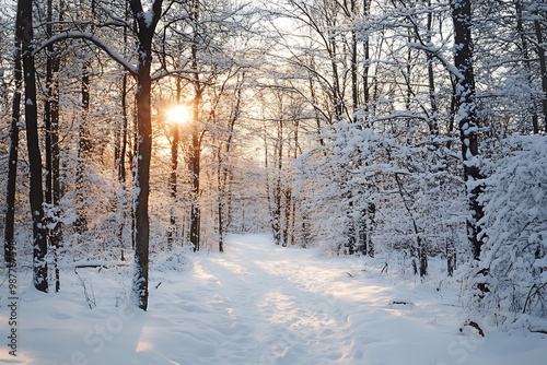 Snow covered path through a winter forest at sunrise with a sunbeam breaking through the trees