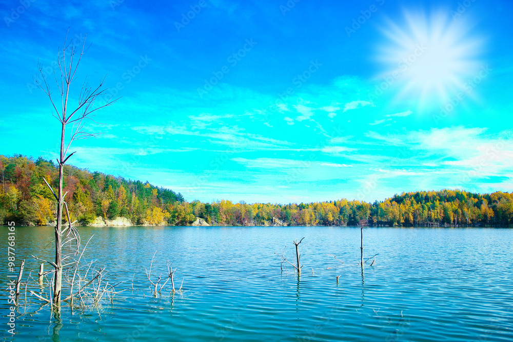 Obraz premium A nice beautiful autumn road for travel
