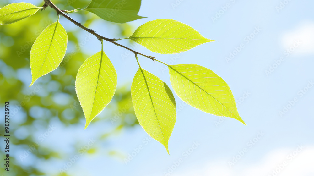 Fresh green leaves gently sway in breeze, showcasing their vibrant color against bright blue sky. This image captures essence of nature and beauty of organic life Fresh green leaves gently sway in breeze, showcasing their vibrant color against bright blue sky. This image captures essence of nature and beauty of organic life