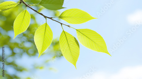 Fresh green leaves gently sway in breeze, showcasing their vibrant color against bright blue sky. This image captures essence of nature and beauty of organic life