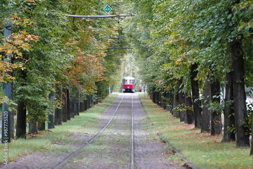 Tram Leading Lines