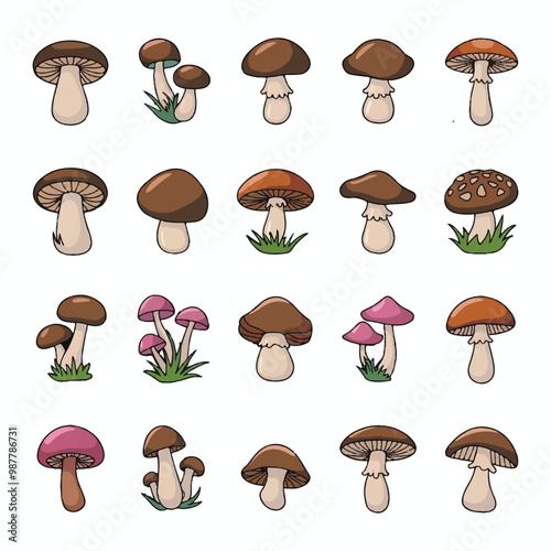 A collection of mushrooms with a white background