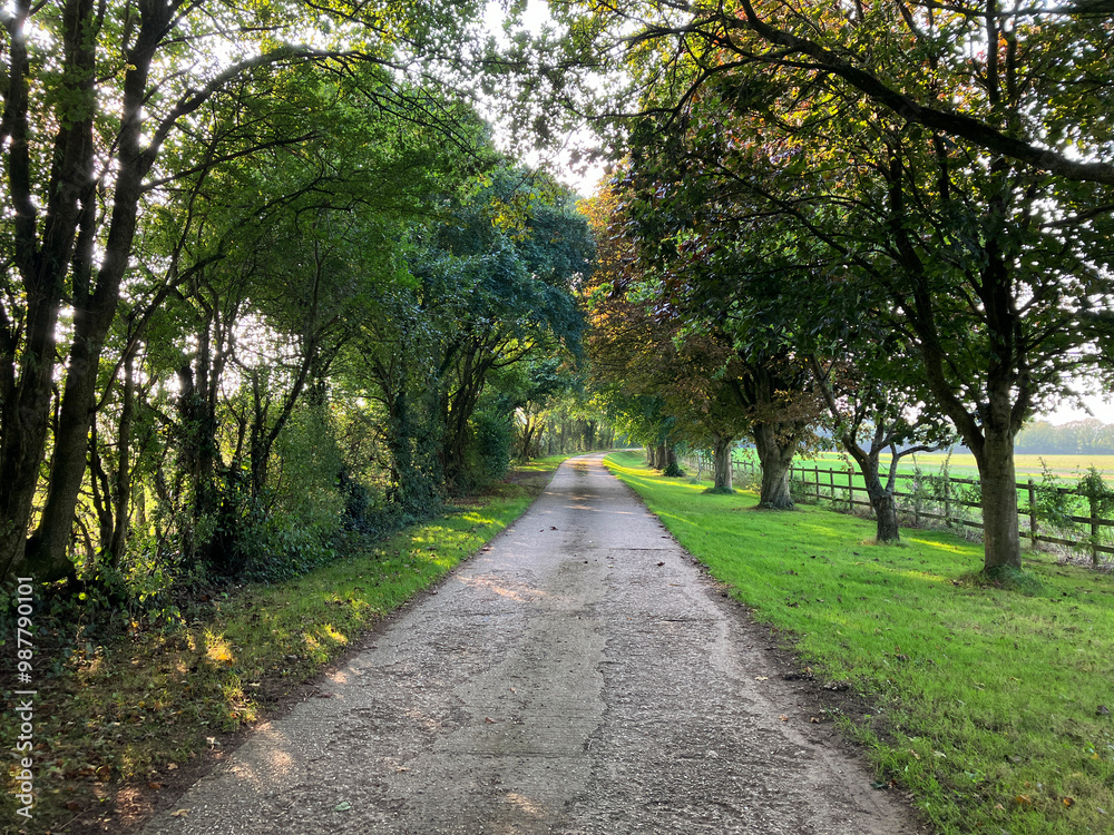 English country road in early autumn English country road in early autumn