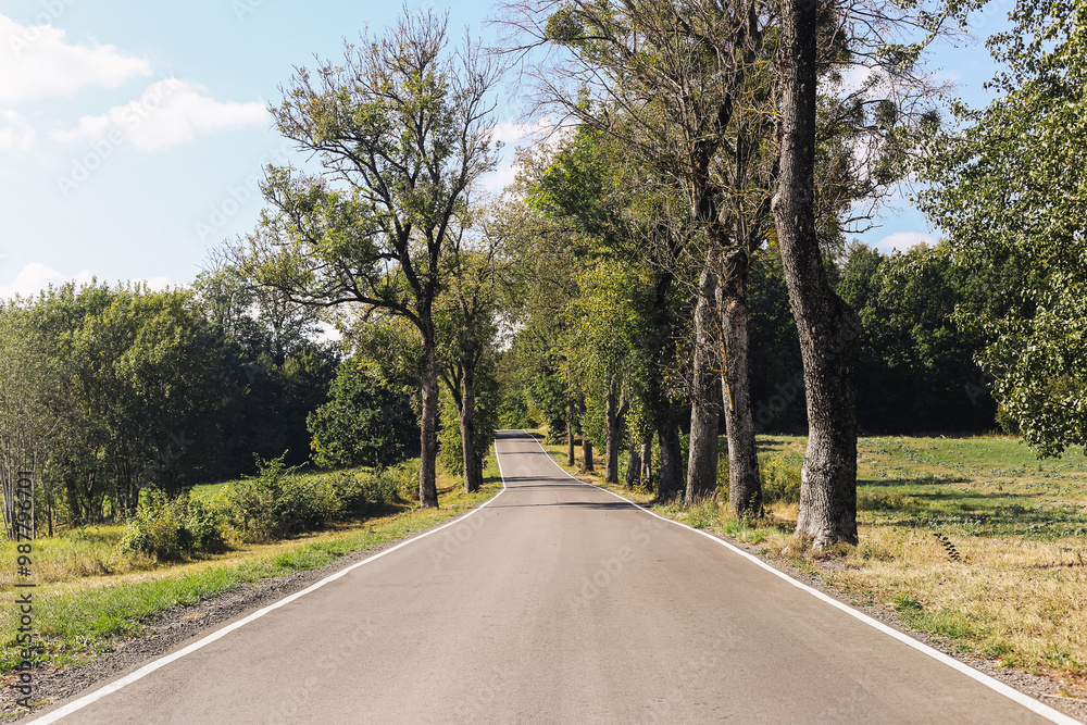 Obraz premium Asphalt road through field, meadow and forest. Beautiful summer landscape with trees along the roadside. Concept of a journey into the unknown. Scenic countryside background.