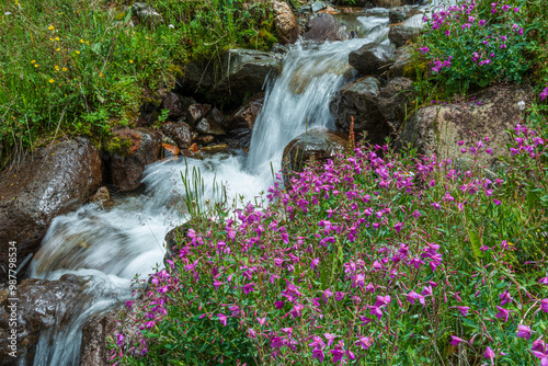Fototapeta Naklejka Na Ścianę i Meble -  waterfall in the garden
