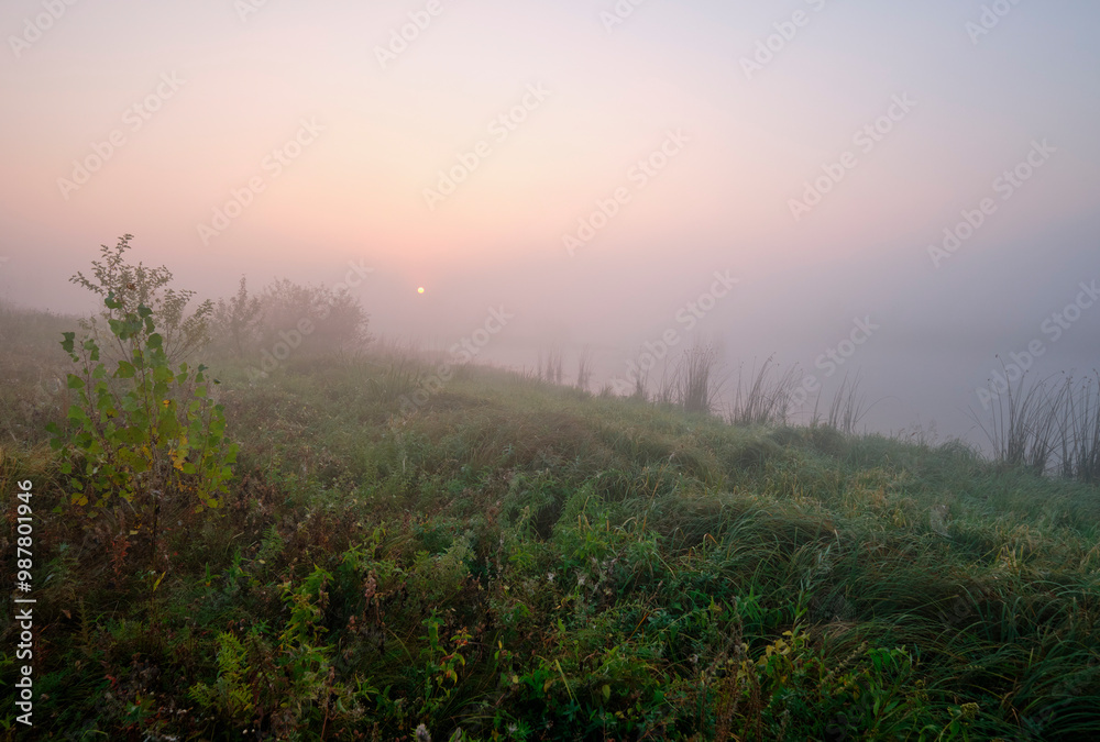 Foggy dawn on the field near the lake.