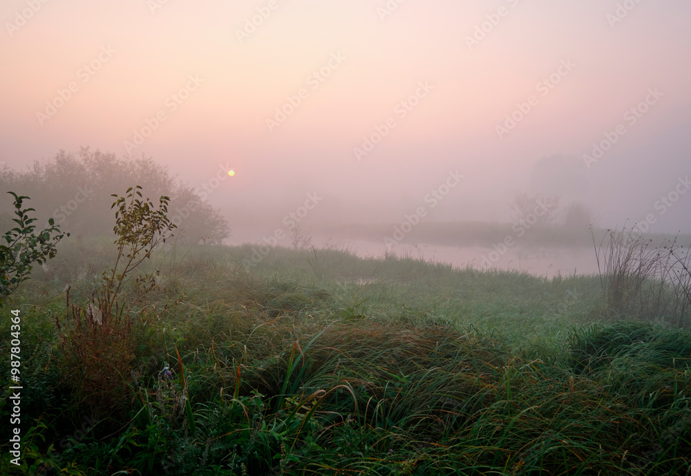 Fototapeta premium Foggy dawn on the field near the lake.