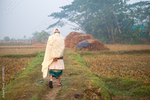 South asian elderly rural man walking through an agricultural field in a winter morning 