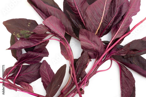 Red spinach is rich in phytochemicals and nitrate. When consumed, nitrate converts into nitric oxide, a molecule that supports healthy circulation. photo