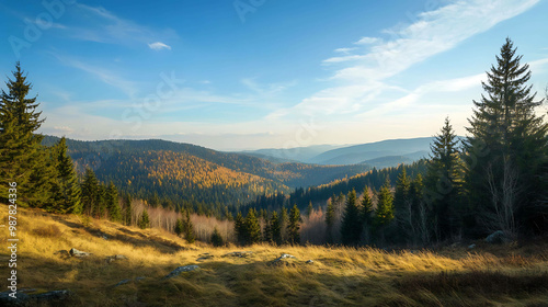 A beautiful mountain vista with a blue sky, green trees and golden grasses.