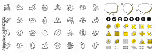 Set of Fishing, Leaf and Rainy weather line icons for web app. Design elements, Social media icons. Coffee beans, Oil drop, Mineral oil icons. Salad, Eco energy, Fish signs. Vector