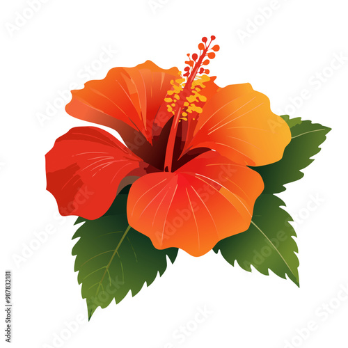 A hibiscus flower, red and orange, intricate and detailed vector art illustration design