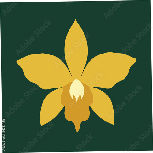 This digital product showcases a stunning vector illustration of the Gold of Kinabalu Orchid flower, capturing its exotic beauty and intricate details, perfect for nature-themed or floral designs