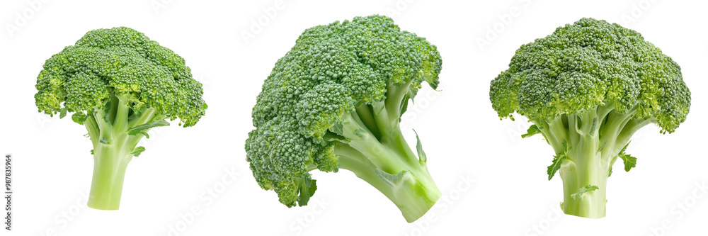 Fresh broccoli heads isolated on a transparent background Fresh broccoli heads isolated on a transparent background