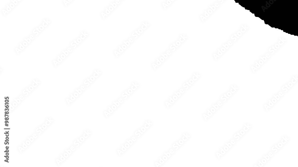 Black and white background transition video animation 