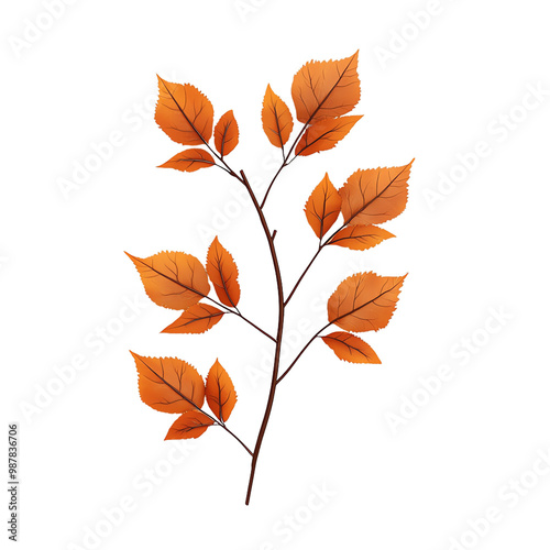 Orange leaves branch, white isolated background transparent background