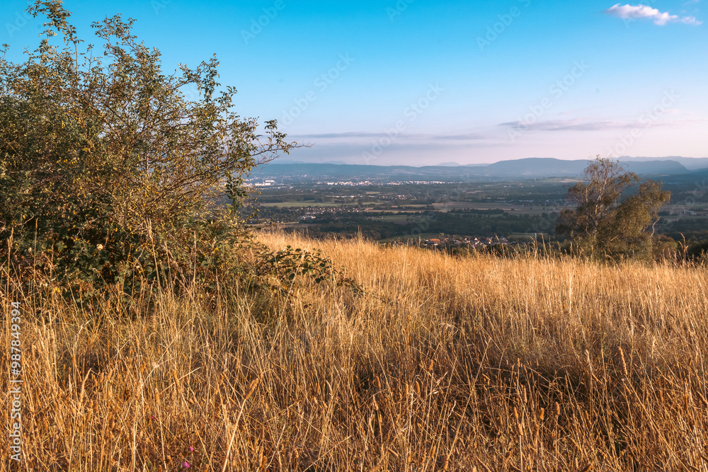 vue depuis le mont Mourex sur le pays de Gex vue depuis le mont Mourex sur le pays de Gex