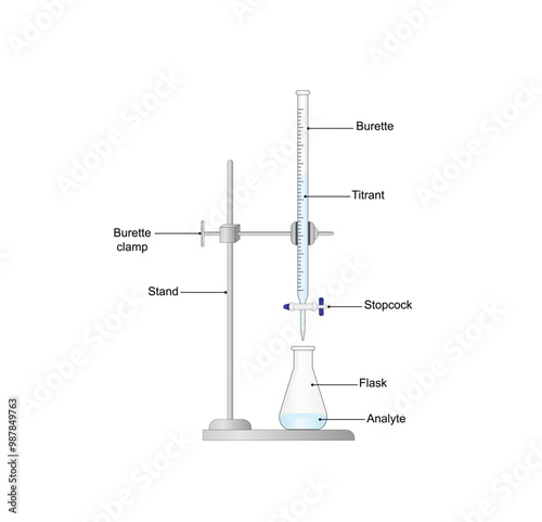 Titration procedure. Titrant in a burette and analyte in a conical flask, scientific experiment in the laboratory. Scientific vector illustration.