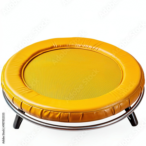 Trampoline Isolated