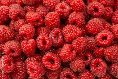 Tasty fresh raspberry as a background.