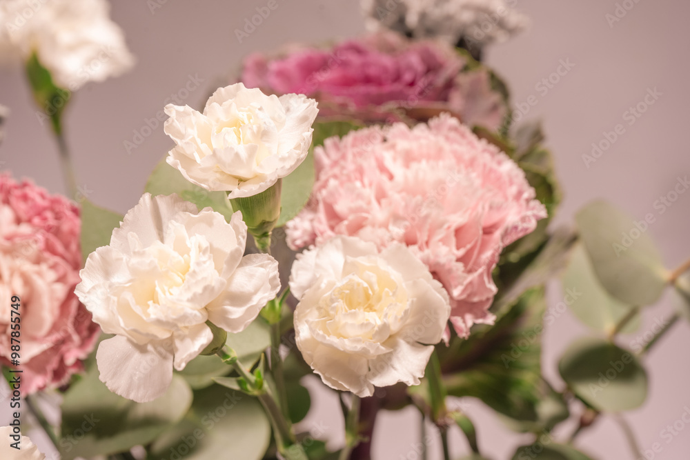 Beautiful bouquet of pink, grey and white carnation flowers, fresh eucalyptusas and violet brassica flower. Beautiful bouquet of pink, grey and white carnation flowers, fresh eucalyptusas and violet brassica flower.