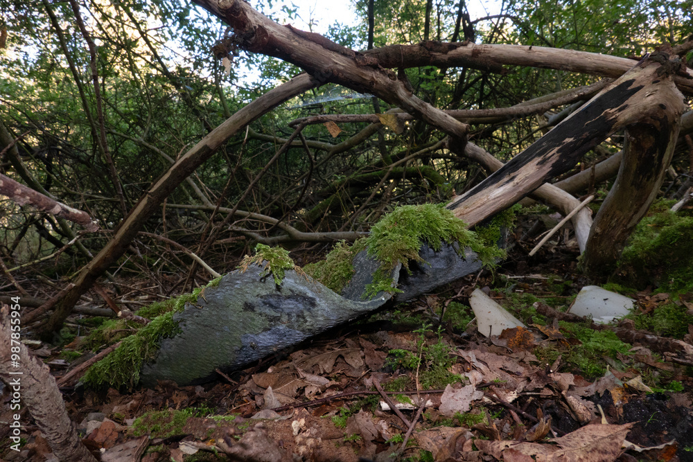 Asbestos sheet, grown with moss, illegally dumped in forest Asbestos sheet, grown with moss, illegally dumped in forest