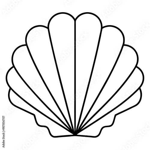 Symmetrical Scallop Shell with Radiating Ridge Lines - Vector Art