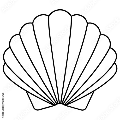 Symmetrical Scallop Shell with Radiating Ridge Lines - Vector Art