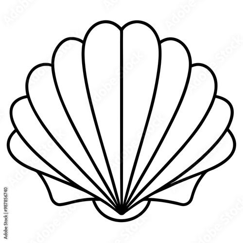 Symmetrical Scallop Shell with Radiating Ridge Lines - Vector Art