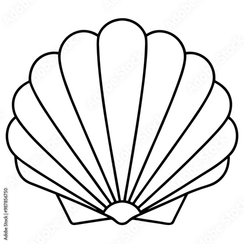 Symmetrical Scallop Shell with Radiating Ridge Lines - Vector Art
